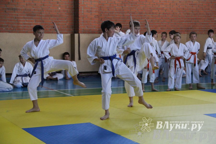 Турнир по каратэ