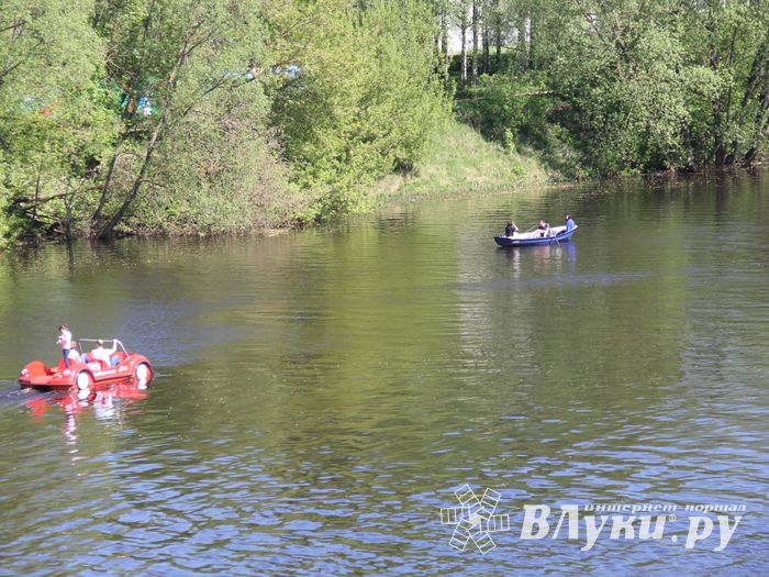 По центральному проспекту Великих Лук прошёл  «Бессмертный полк» (0+) (ФОТО)
