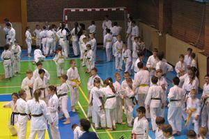 Кубок Псковской области по каратэ прошел в Великих Луках (фото)