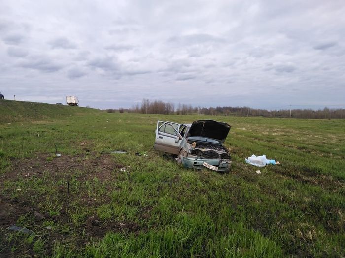 В Великолкском районе произошло смертельное ДТП (ФОТО)