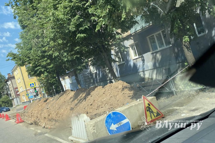 Водителей Великих Лук просят быть внимательнее (ФОТО)