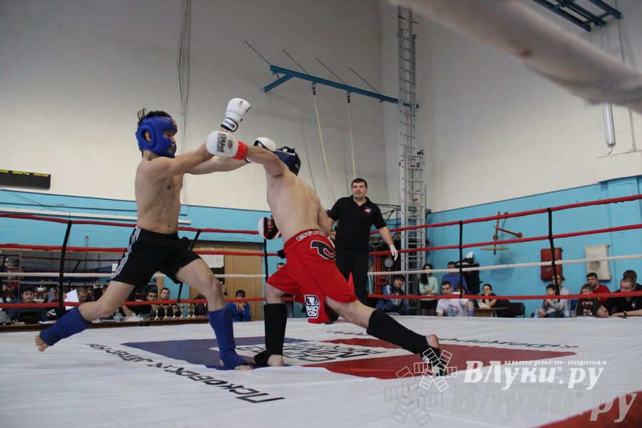 Открытый Кубок города Великие Луки по смешанному боевому единоборству (ММА)