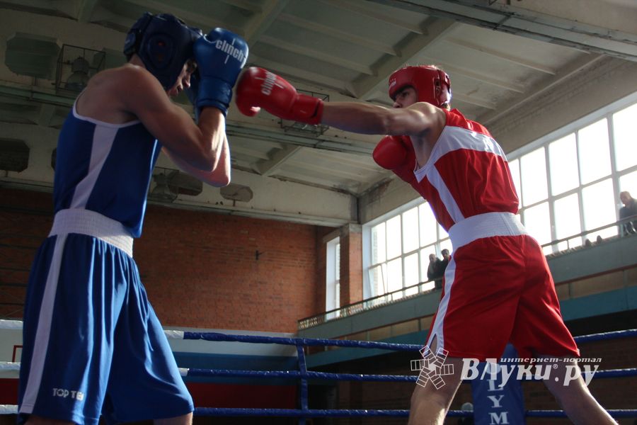 В Великих Луках прошел турнир по боксу памяти Е. Клевцова (ФОТО)