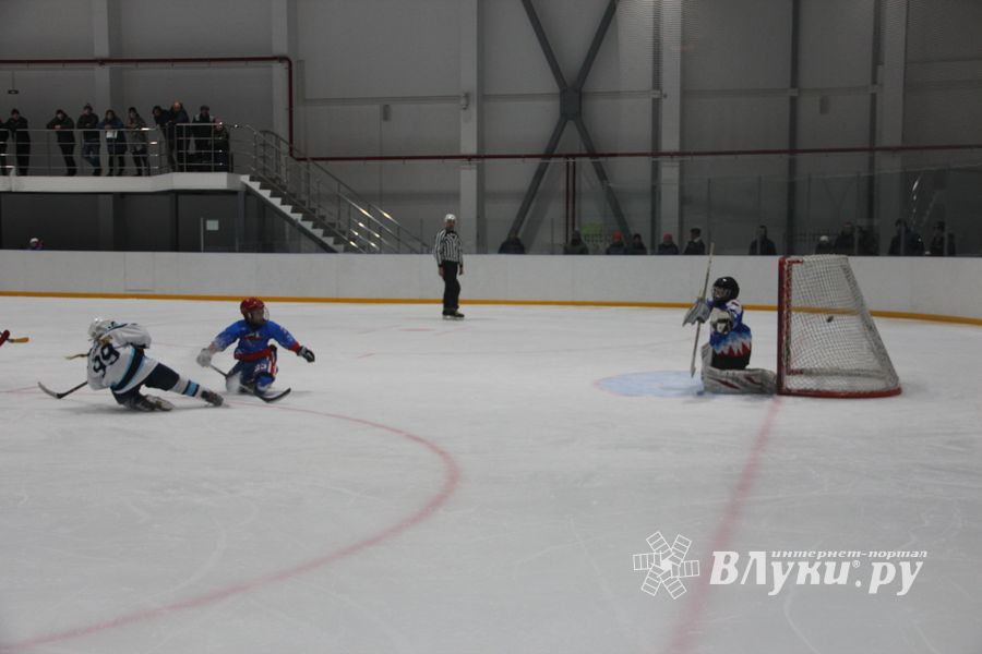Детский турнир по хоккею прошел в Великих Луках (ФОТО)