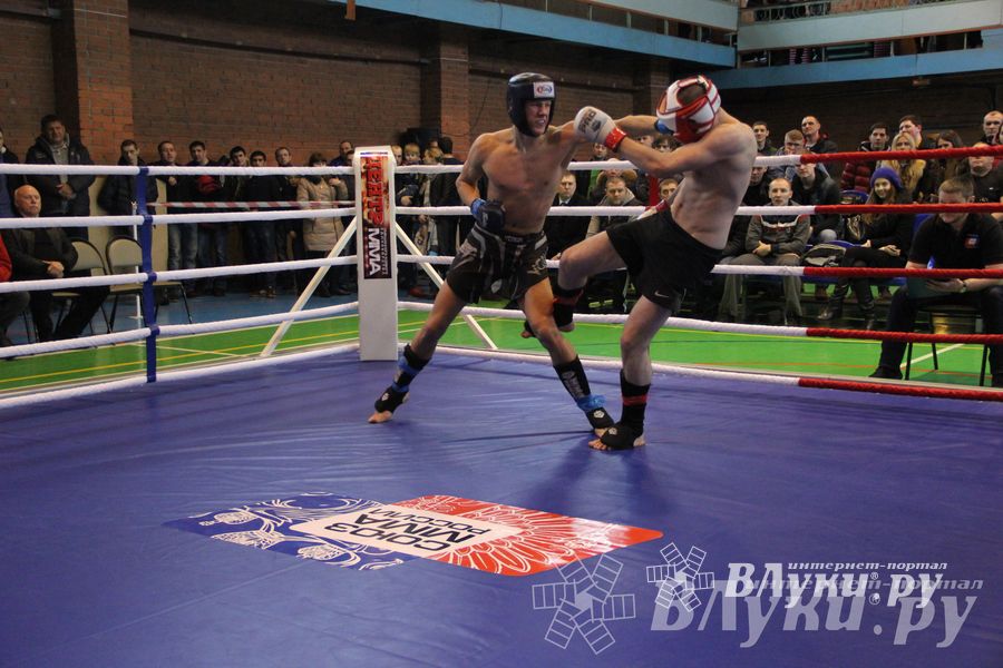 В Великих Луках прошел межрегиональный Открытый Кубок по смешанному боевому единоборству (фото)