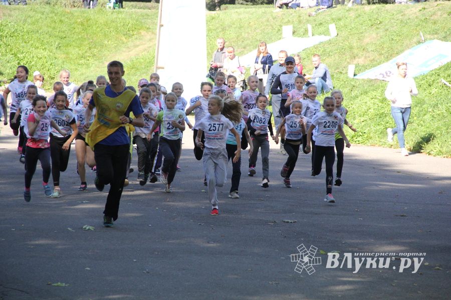 В Великих Луках прошёл «Кросс Нации-2018» (ФОТО)