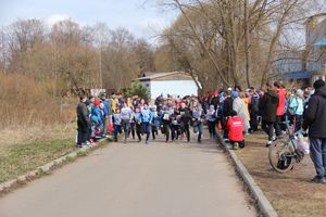 В Великих Луках прошёл легкоатлетический кросс (ФОТО)