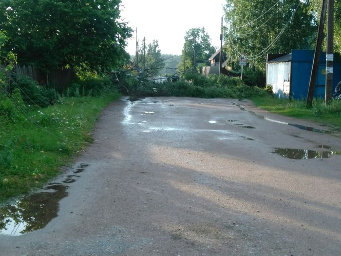 Ураган в Псковской области валил деревья и срывал крыши (ФОТО)