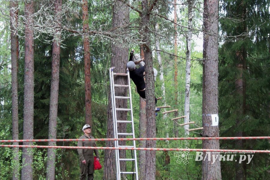 Традиционный городской туристский слет, посвященный Великой Победе
