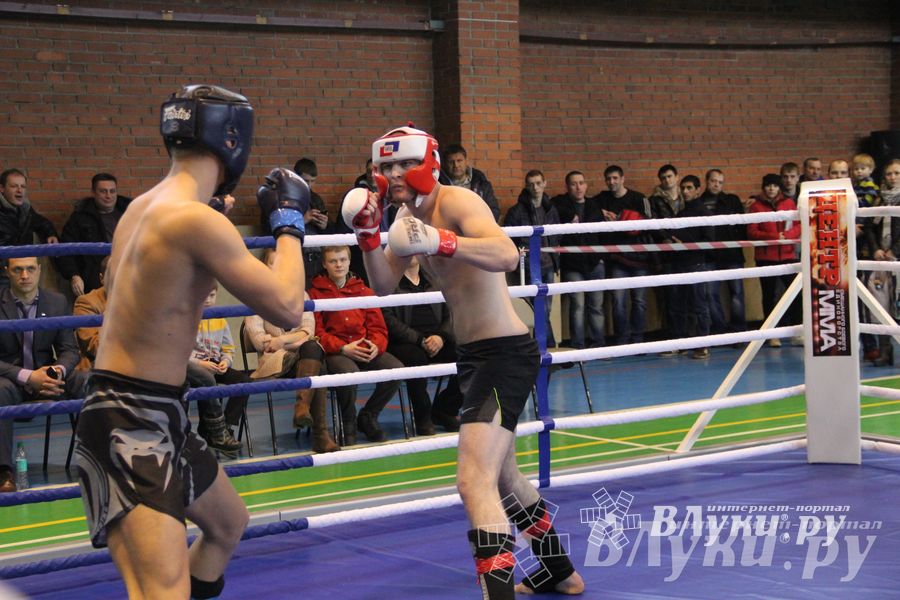 В Великих Луках прошел межрегиональный Открытый Кубок по смешанному боевому единоборству (фото)