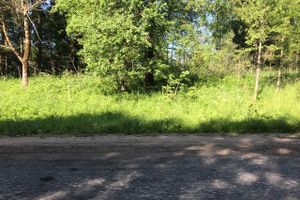 Трава у дома (ФОТО)