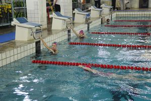 В Великих Луках прошло Первенство города по плаванию (фото)