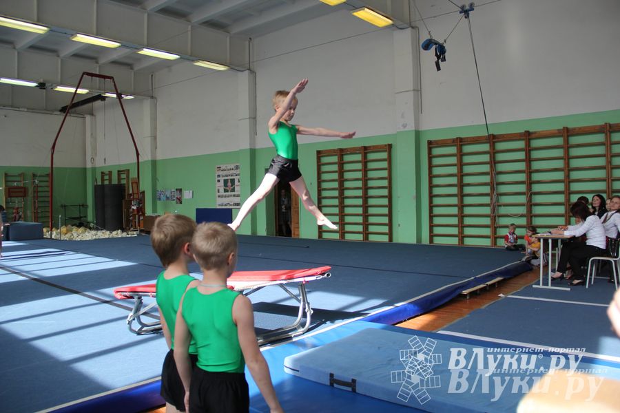 В Великих Луках состоялось Первенство по командной гимнастике (фото)