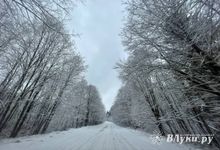 Синоптики рассказали, когда в Псковскую область придёт настоящая зима