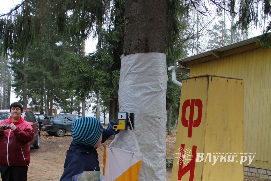 «Великолукский Марафон-2014» прошел в Сенчитском бору (фото)