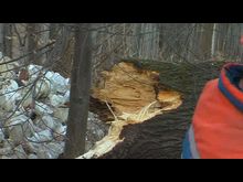 Импульс-ТВ: Сильный ветер 