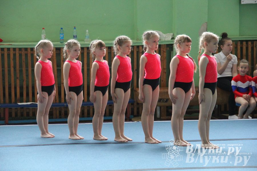 В Великих Луках состоялось Первенство по командной гимнастике (фото)