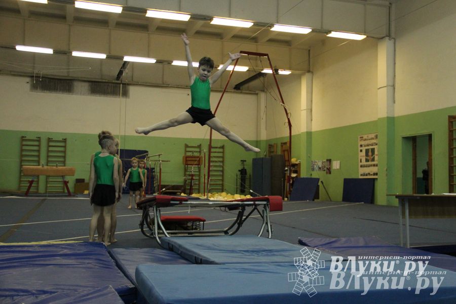 В Великих Луках состоялось Первенство по командной гимнастике (фото)