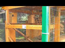 Импульс-ТВ: Белкин дом