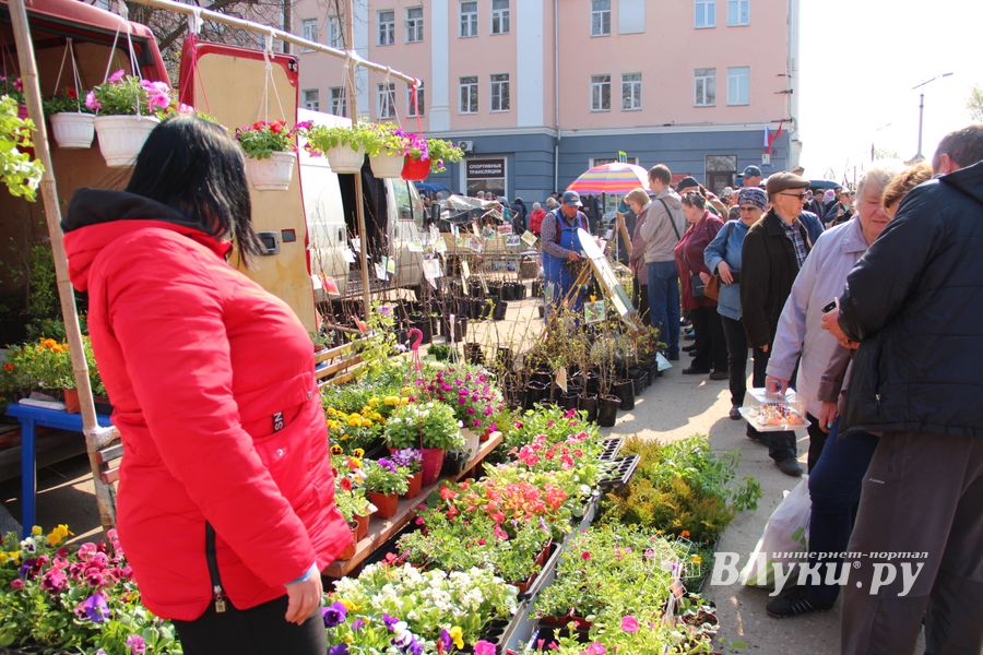 СТЦ «СтройСам» порадовал великолучан на универсальной ярмарке «Весна-2018» (ФОТО)