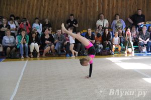 В Великих Луках прошло Первенство по художественной гимнастике (фото)