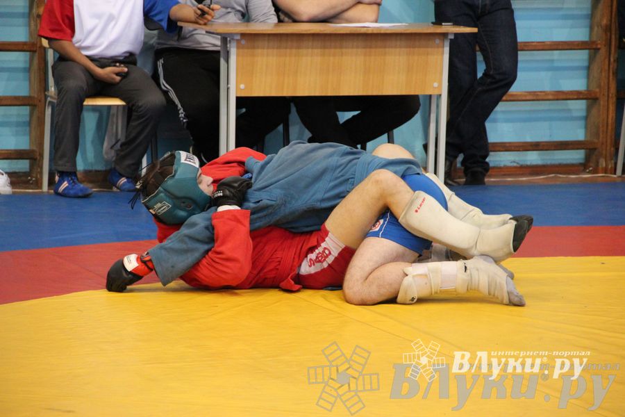 Первенство Псковской области по самбо