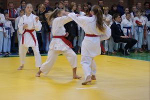 В Великих Луках прошли соревнования по каратэ (ФОТО)