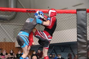 В Великих Луках прошел кубок по смешанному боевому единоборству (ФОТО)