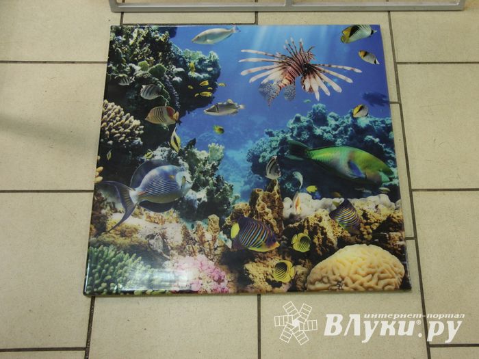 Шестая великолукская универсальная выставка открылась в Великих Луках (фото + видео)