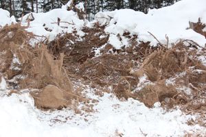 В Великих Луках ведется строительство центра по подготовке велосипедистов (ФОТО)