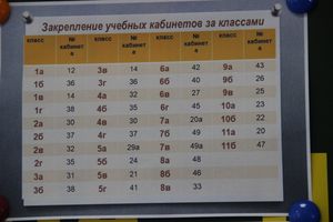 Великолукские школы готовы к атаке COVID-19