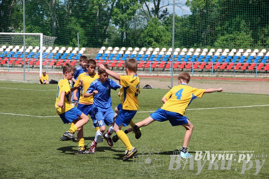 «Локобол-2013» в Великих Луках