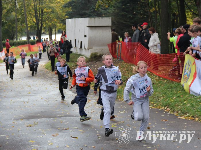 Кросс нации