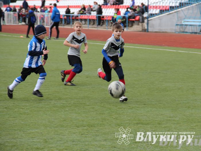 В Великих Луках прошел международный детский турнир по футболу «Наши надежды»
