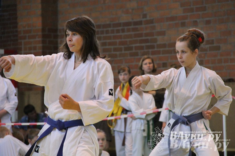 Великолучане стали победителями турнира по каратэ «Неприкосновенный запас, дети — Отчизны 2015» (фото)