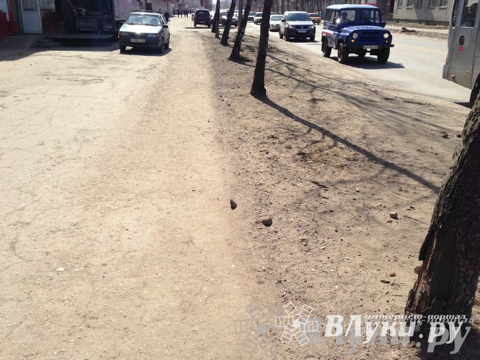 Весне дорогу!