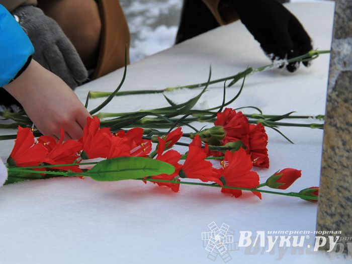 В Великих Луках почтили память академика Виноградова