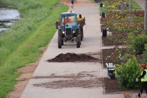 В Великих Луках сажают, стригут и красят (ФОТО)