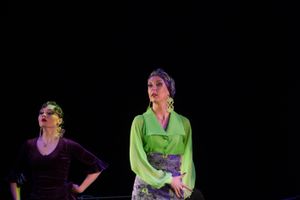 В великих Луках выступил московский коллектив фламенко