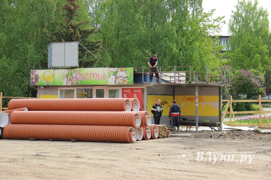 На площади Калинина убирают лишние деревья (ФОТО)