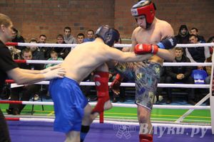 В Великих Луках прошел межрегиональный Открытый Кубок по смешанному боевому единоборству (фото)