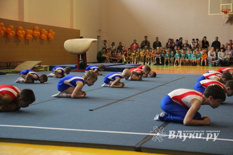 Парад гимнастики