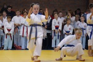 В Великих Луках прошли соревнования по каратэ (ФОТО)