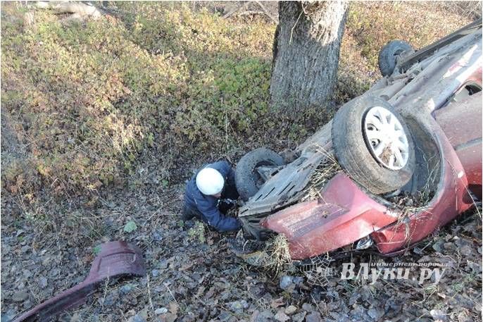 За неделю на дорогах Псковской области погибло 5 человек (фото)