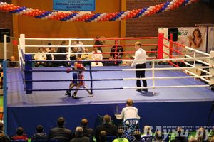 Открытие 16-го  Международного турнира по боксу