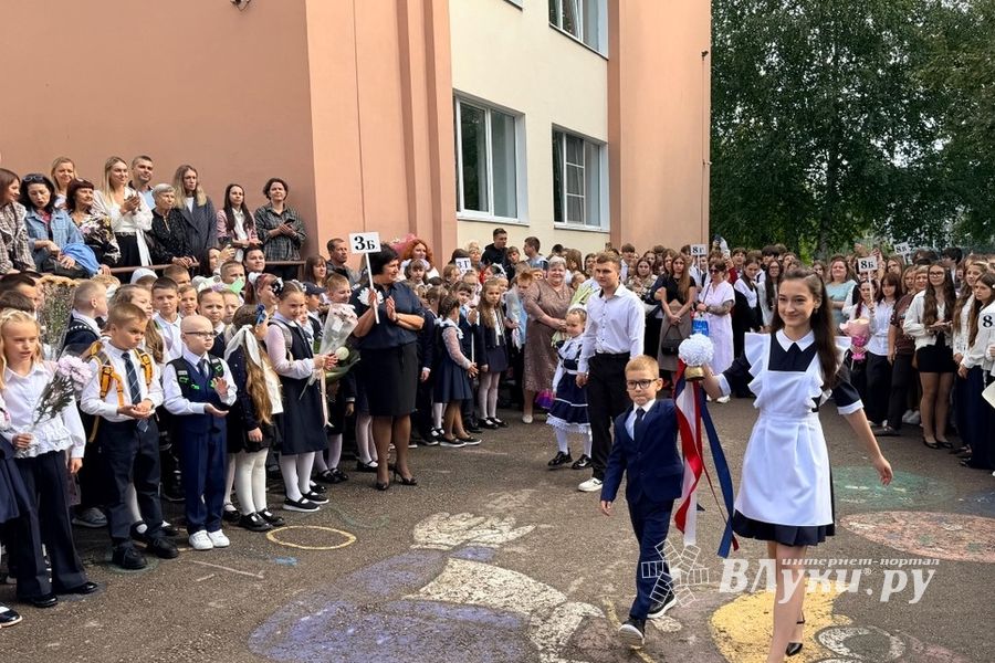ВЛуки.ру