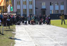 «Шиповка юных» среди великолукских школьников (фото)