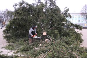 Необычное украшение сняли с главной ёлки Великих Лук (ФОТО)