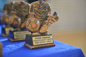 Спортсмены Псковской области завоевали награды на финале СЗФО «Мини-футбол – в школу» (ФОТО)