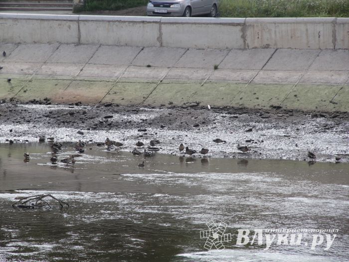 Куда утекла Ловать (ФОТО)